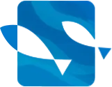 Salmon Attitude Logo